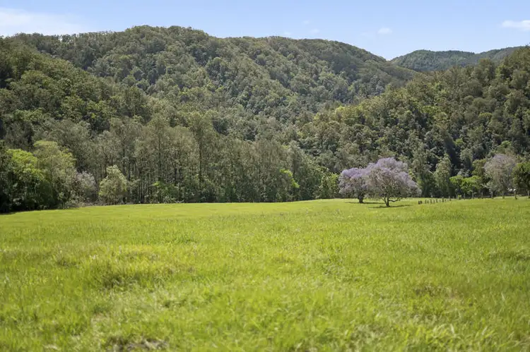 1314 Darkwood Road, Bellingen NSW 2454
