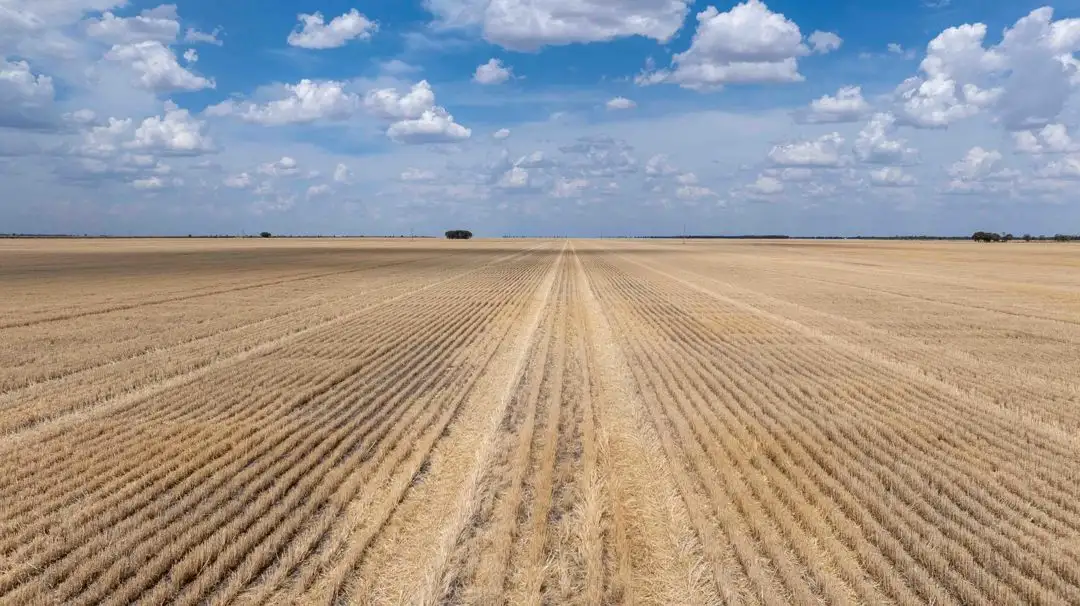 Main view of Homely rural property listing, North Prairie, Moree NSW 2400