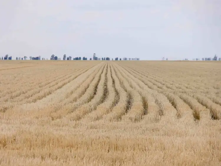 Fifth view of Homely rural property listing, North Prairie, Moree NSW 2400