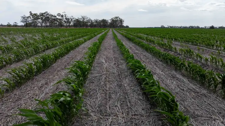 Sixth view of Homely rural property listing, North Prairie, Moree NSW 2400