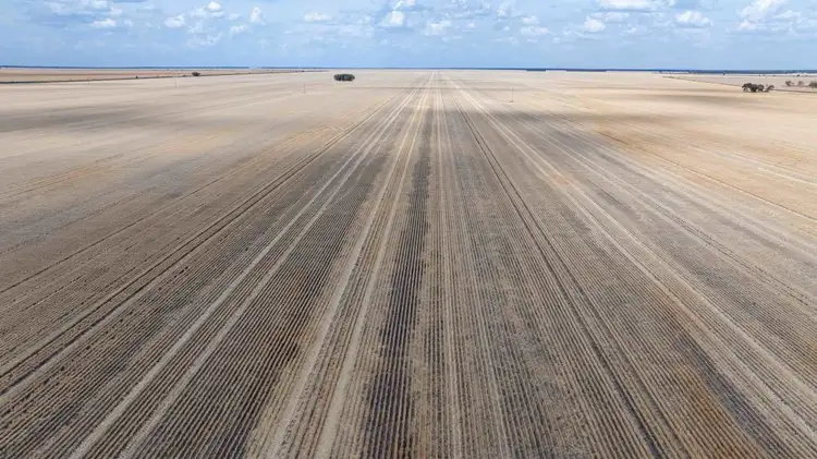 Seventh view of Homely rural property listing, North Prairie, Moree NSW 2400