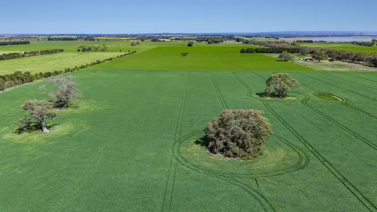 Fifth view of Homely rural property listing, 45 Considines Road, Mount Moriac VIC 3240