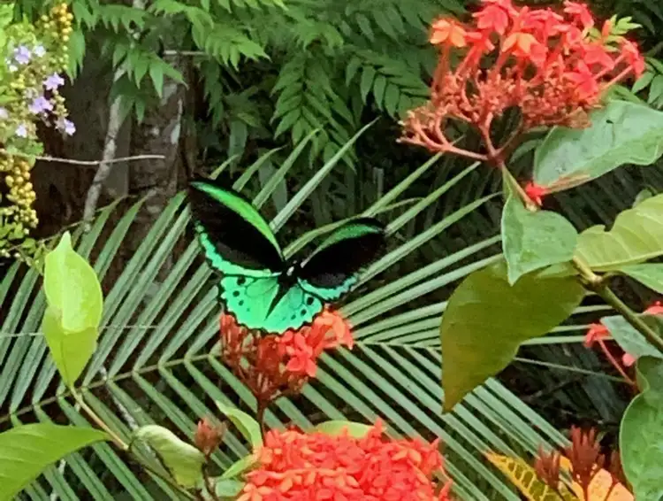 Fourth view of Homely rural property listing, Address available on request