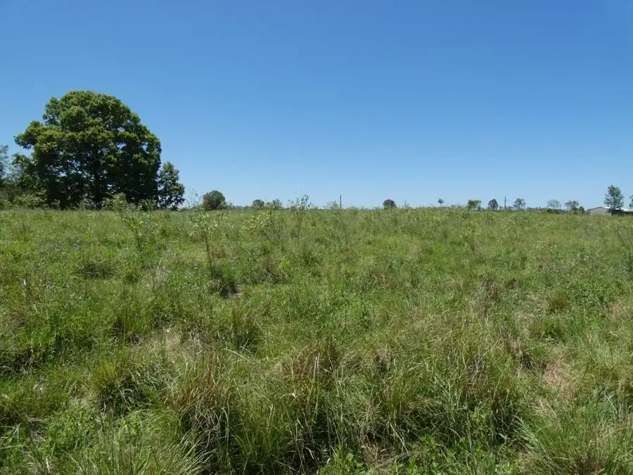 Main view of Homely rural property listing, Lot 16 Hinrichs Road, Rosedale QLD 4674