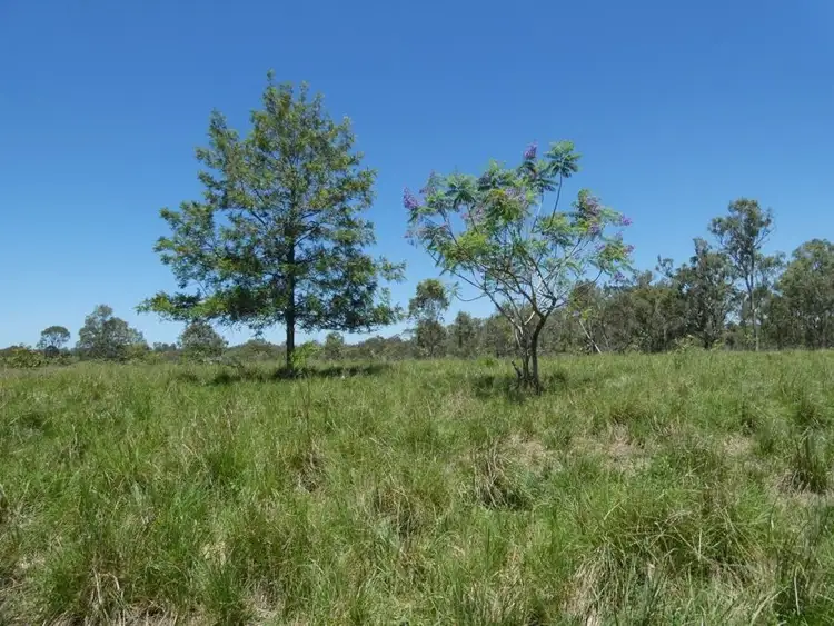 Third view of Homely rural property listing, Lot 16 Hinrichs Road, Rosedale QLD 4674