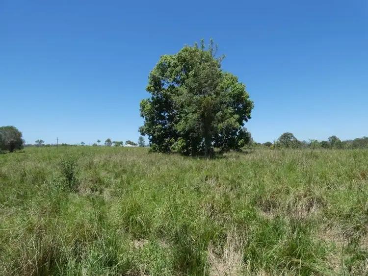Seventh view of Homely rural property listing, Lot 16 Hinrichs Road, Rosedale QLD 4674