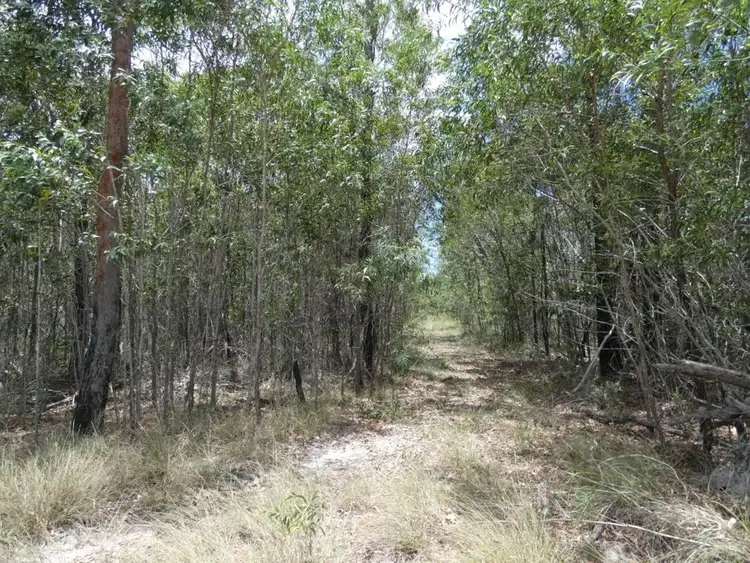 Second view of Homely rural property listing, 668 Matchbox Road, Deepwater QLD 4674