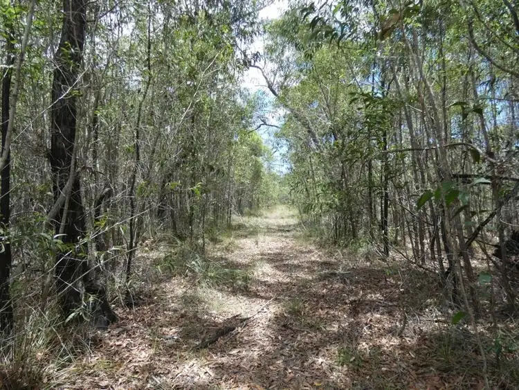 Third view of Homely rural property listing, 668 Matchbox Road, Deepwater QLD 4674