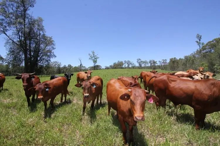 Third view of Homely rural property listing, 45 Sheahan Road, Berajondo QLD 4674