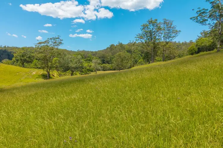 Second view of Homely rural property listing, 486 North Branch Rd, Upsalls Creek NSW 2439