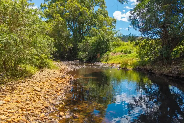 Third view of Homely rural property listing, 486 North Branch Rd, Upsalls Creek NSW 2439