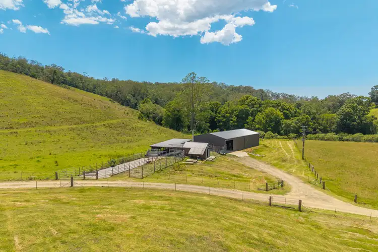 Fourth view of Homely rural property listing, 486 North Branch Rd, Upsalls Creek NSW 2439