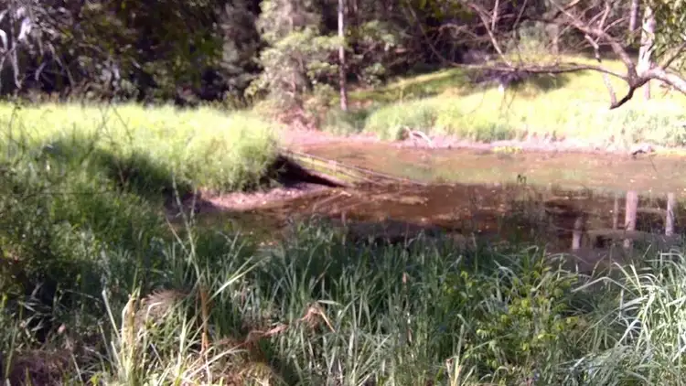 Second view of Homely land listing, 622A Simpson Ridge Road, South Arm NSW 2449