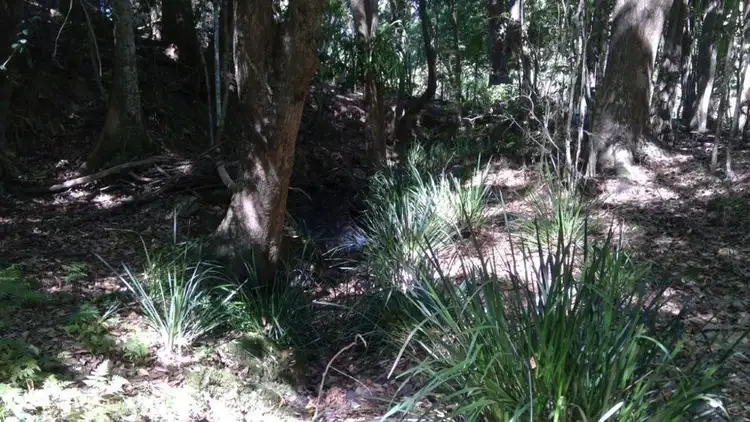 Seventh view of Homely land listing, 622A Simpson Ridge Road, South Arm NSW 2449