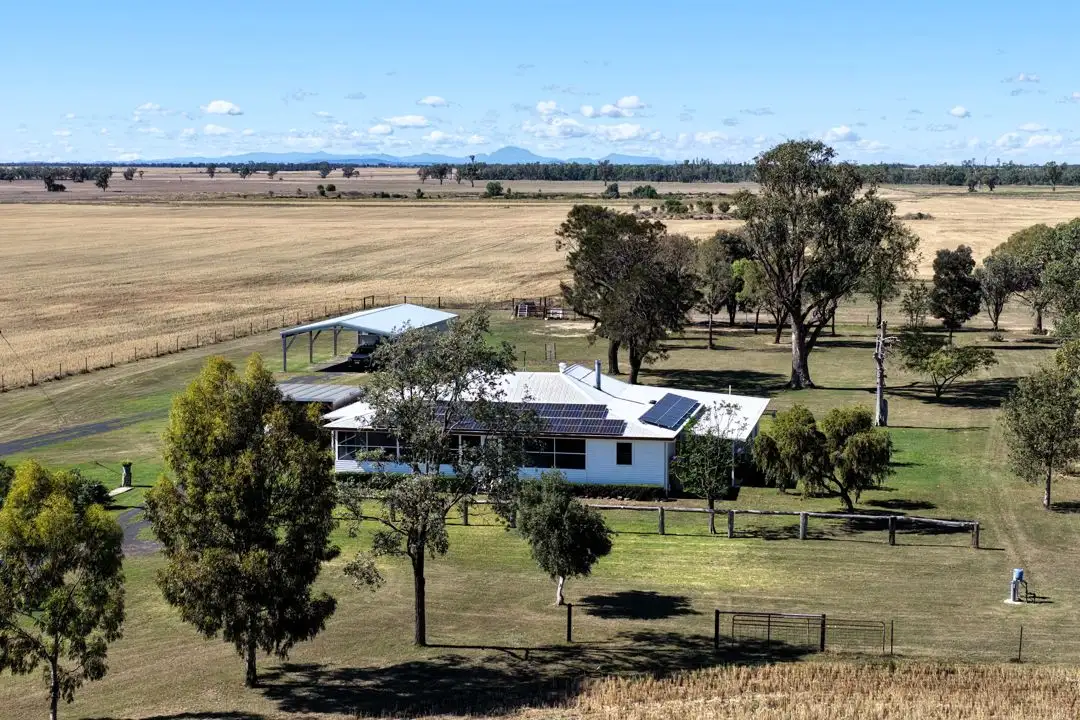 Main view of Homely rural property listing, 18345 Gwydir Highway, Pallamallawa NSW 2399