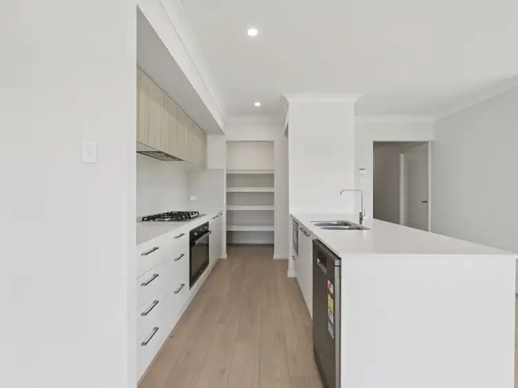 Fifth view of Homely house listing, 14 Hydes Creek Road, Bellingen NSW 2454