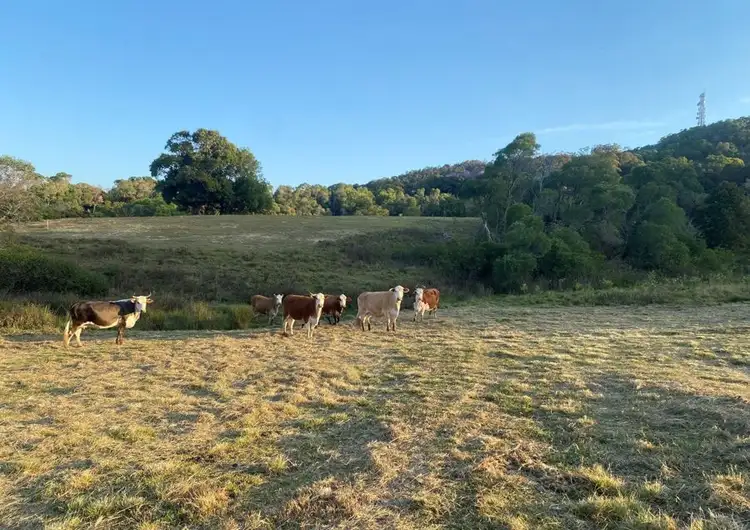 Sixth view of Homely rural property listing, Address available on request