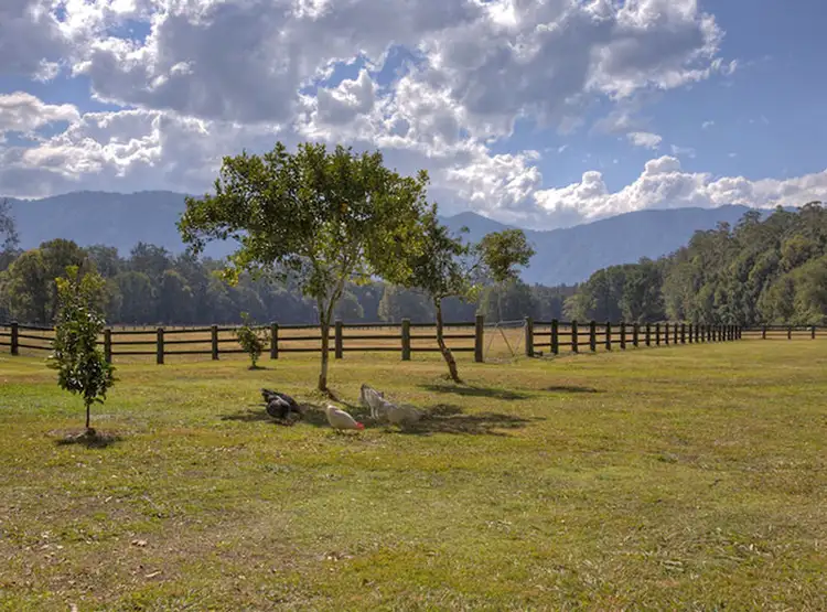 Seventh view of Homely rural property listing, 724 Timboon Road, Bellingen NSW 2454