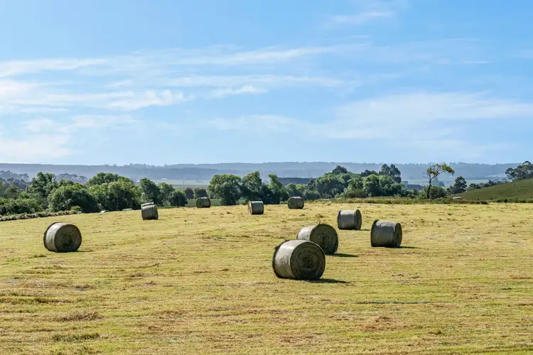 Sixth view of Homely rural property listing, 1530 Birregurra-Forrest Road, Barwon Downs VIC 3243