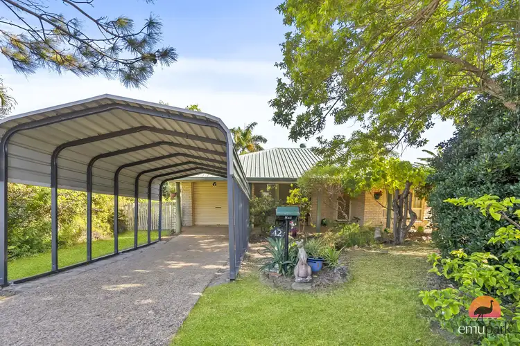42 Larnach Street