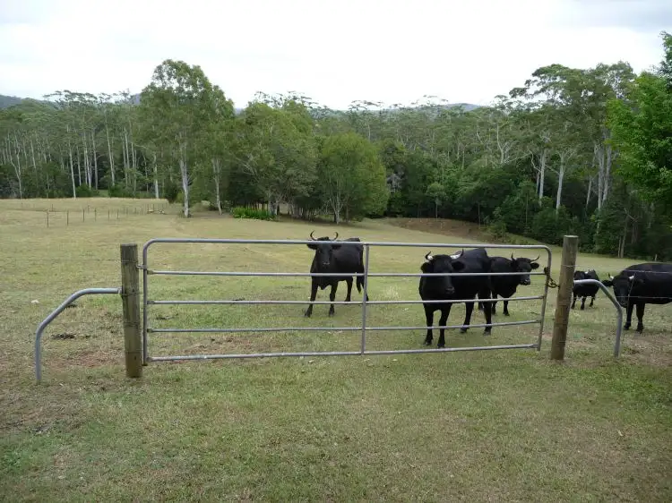 130 Sheahans Road, Yandina QLD 4561