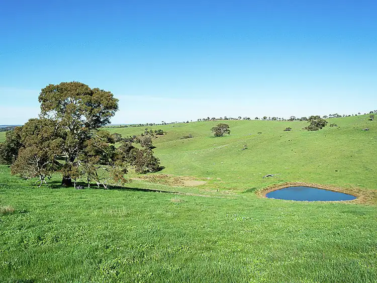 Main view of Homely rural property listing, 1090 Military Road, Brukunga SA 5252