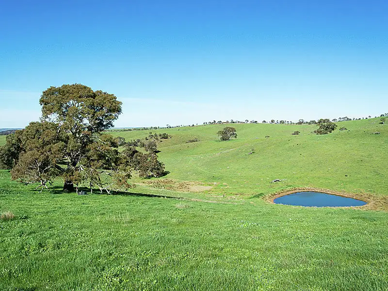Main view of Homely rural property listing, 1090 Military Road, Brukunga SA 5252