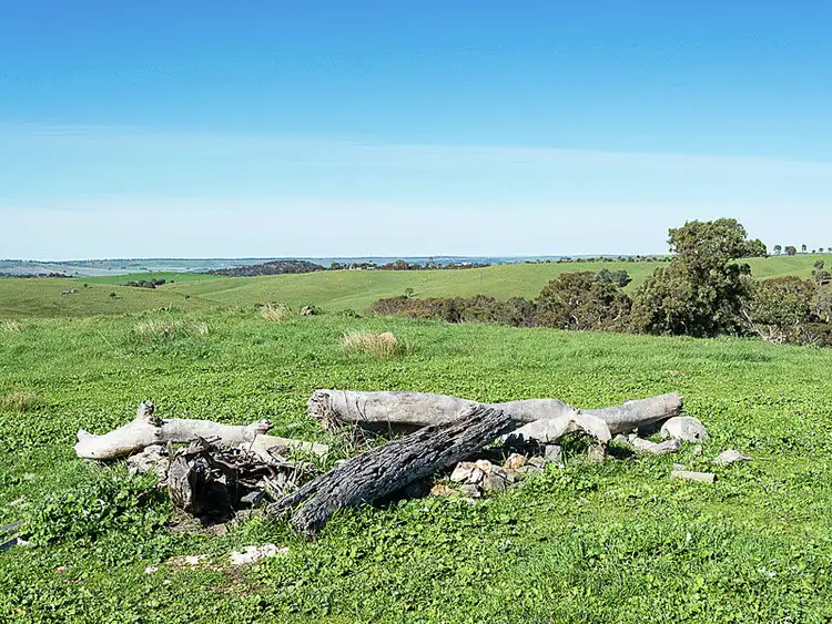 Sixth view of Homely rural property listing, 1090 Military Road, Brukunga SA 5252