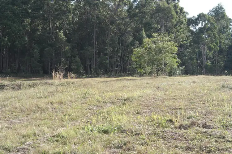Fifth view of Homely rural property listing, Lot 53 The Desert, Wells Crossing NSW 2460