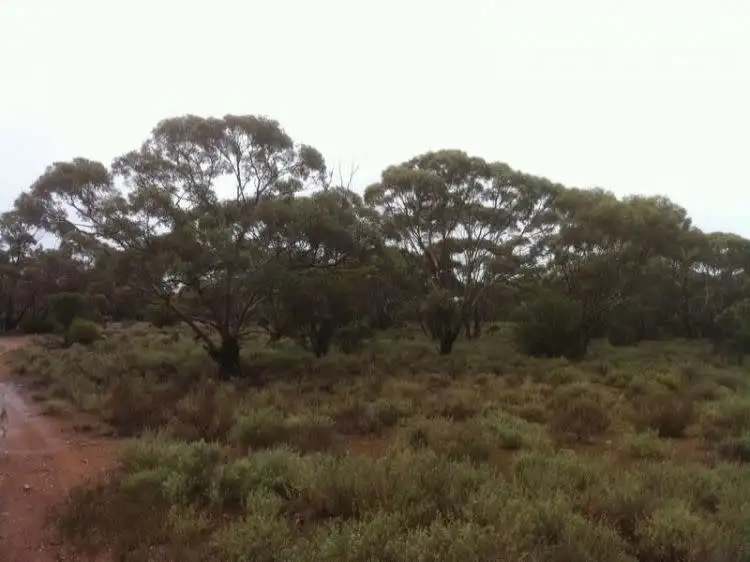 Sixth view of Homely rural property listing, Lot 8 Sandleton Road, Sandleton SA 5356