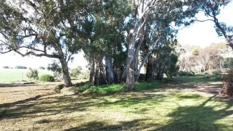 Sixth view of Homely land listing, Sec 348 Billabong Road, Pompoota SA 5238