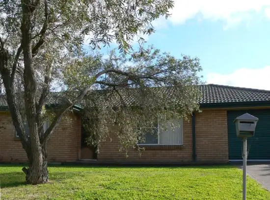 Main view of Homely house listing, 164 Susan Street, Scone NSW 2337