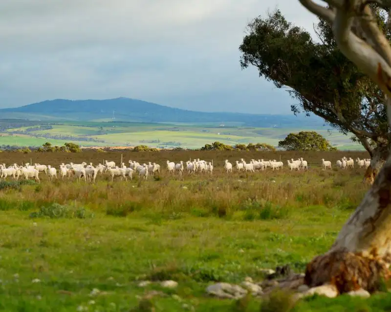 Main view of Homely land listing, Sec 259 Harvey Road, Hartley SA 5255