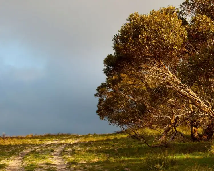 Fourth view of Homely land listing, Sec 259 Harvey Road, Hartley SA 5255