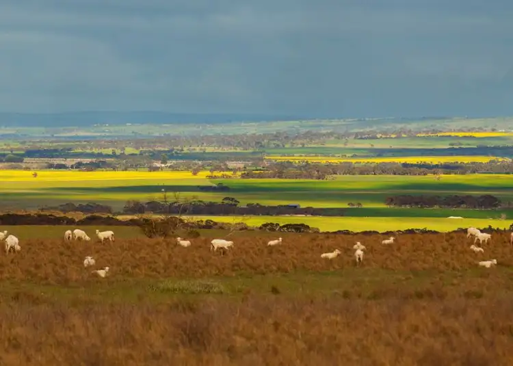 Fifth view of Homely land listing, Sec 259 Harvey Road, Hartley SA 5255