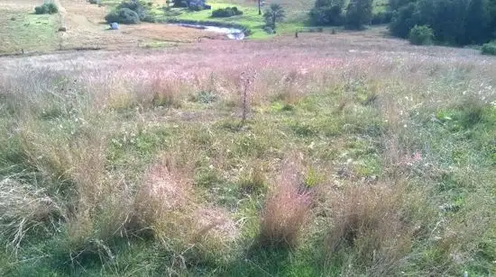 Seventh view of Homely land listing, Lot 310 & 314 Boyles Rd, Pine Mountain QLD 4306