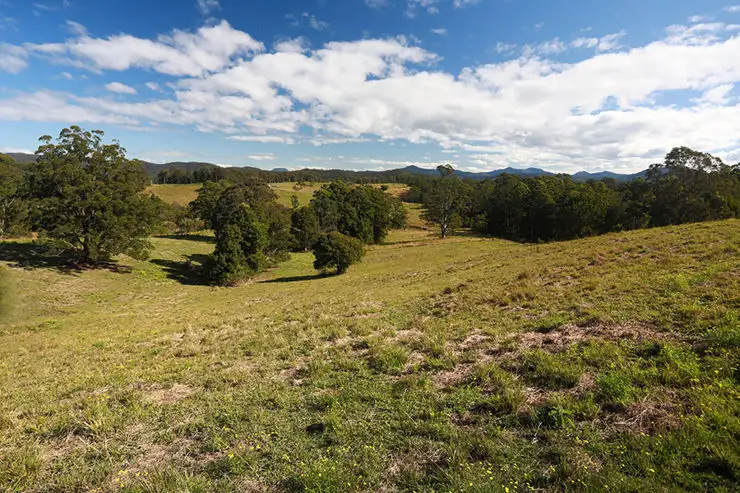 Main view of Homely land listing, 196 Wards Road, Utungun NSW 2447
