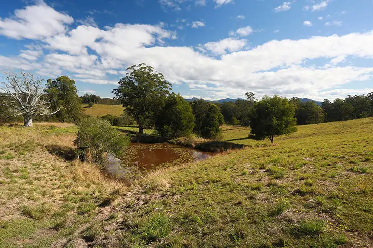 Fourth view of Homely land listing, 196 Wards Road, Utungun NSW 2447