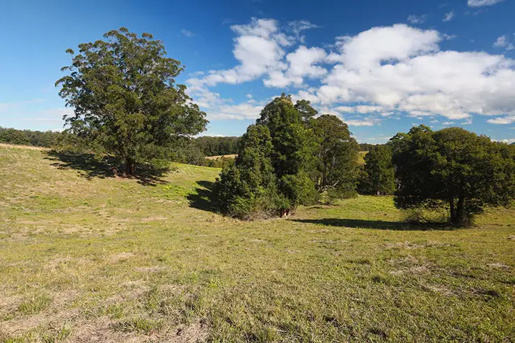 Fifth view of Homely land listing, 196 Wards Road, Utungun NSW 2447