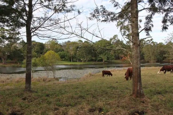 Second view of Homely house listing, 84 Cooke Road, Witta QLD 4552