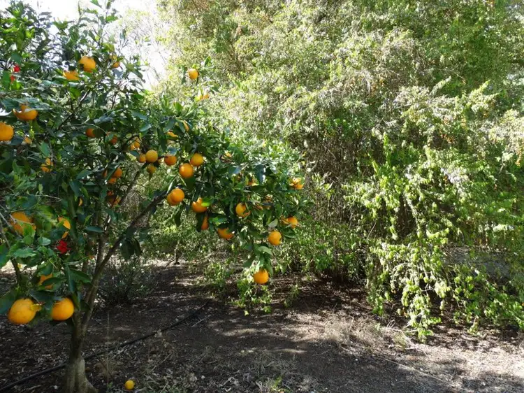 Third view of Homely house listing, LOT 57 Elzeards Way, Gin Gin QLD 4671
