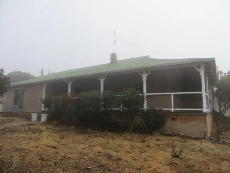 Main view of Homely rural property listing, Carwilla Downside, Wagga Wagga NSW 2650