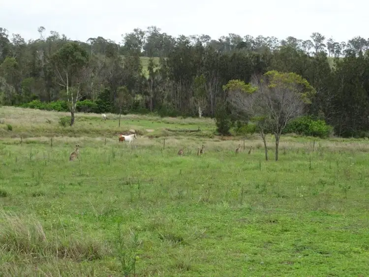 Second view of Homely rural property listing, 38 Hinrichs Road, Rosedale QLD 4674