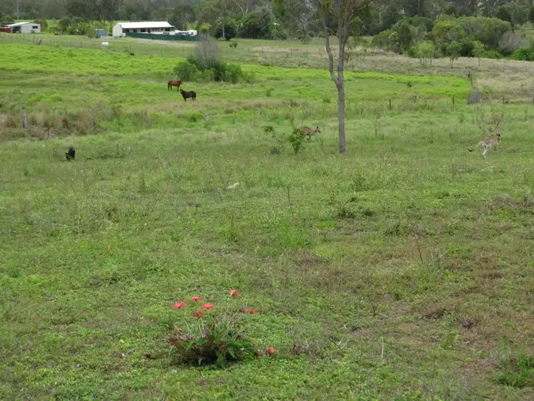 Sixth view of Homely rural property listing, 38 Hinrichs Road, Rosedale QLD 4674
