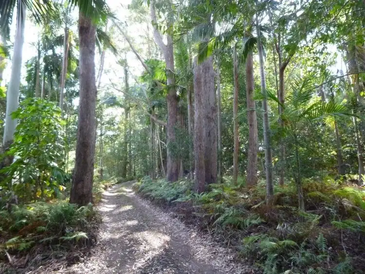 Second view of Homely house listing, 53 Obi Obi Road, Mapleton QLD 4560