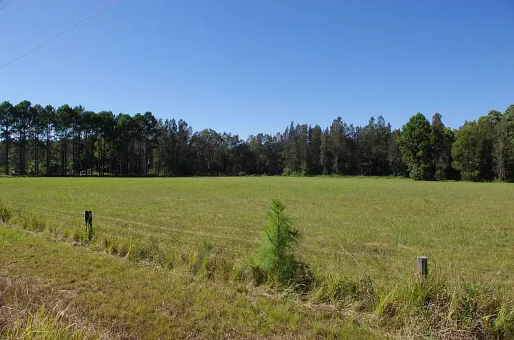Main view of Homely rural property listing, 1332 Manning Point Road, Mitchells Island NSW 2430
