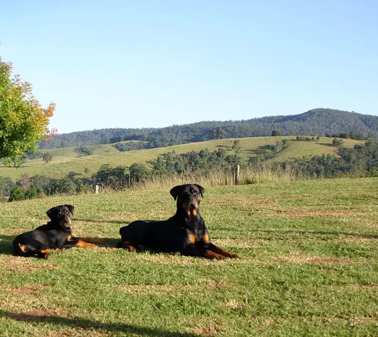 Sixth view of Homely rural property listing, Address available on request