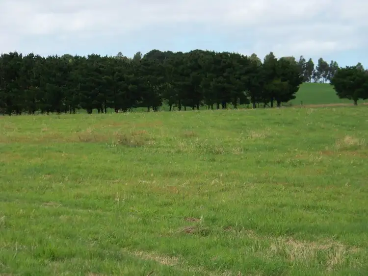 Second view of Homely rural property listing, 2035 Cape Otway Road, Wurdiboluc VIC 3241