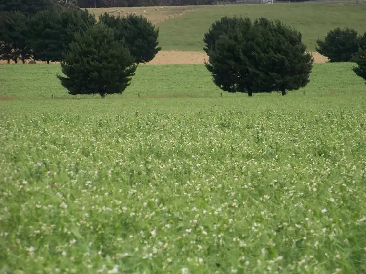 Third view of Homely rural property listing, 2035 Cape Otway Road, Wurdiboluc VIC 3241
