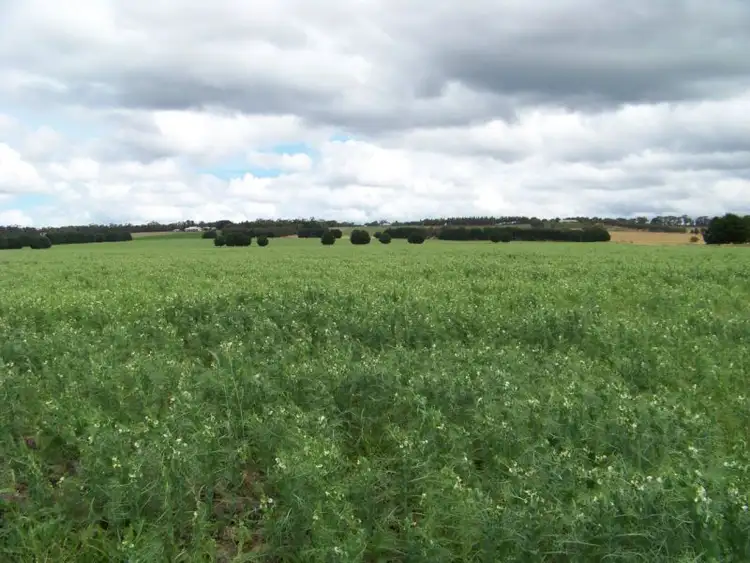 Fourth view of Homely rural property listing, 2035 Cape Otway Road, Wurdiboluc VIC 3241